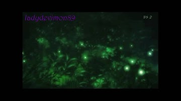 LLP- fireflies mep (my part)