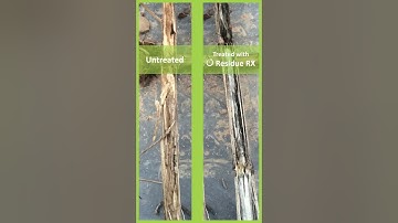 What does Residue Rx do?