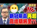 新冠病毒與健康問題