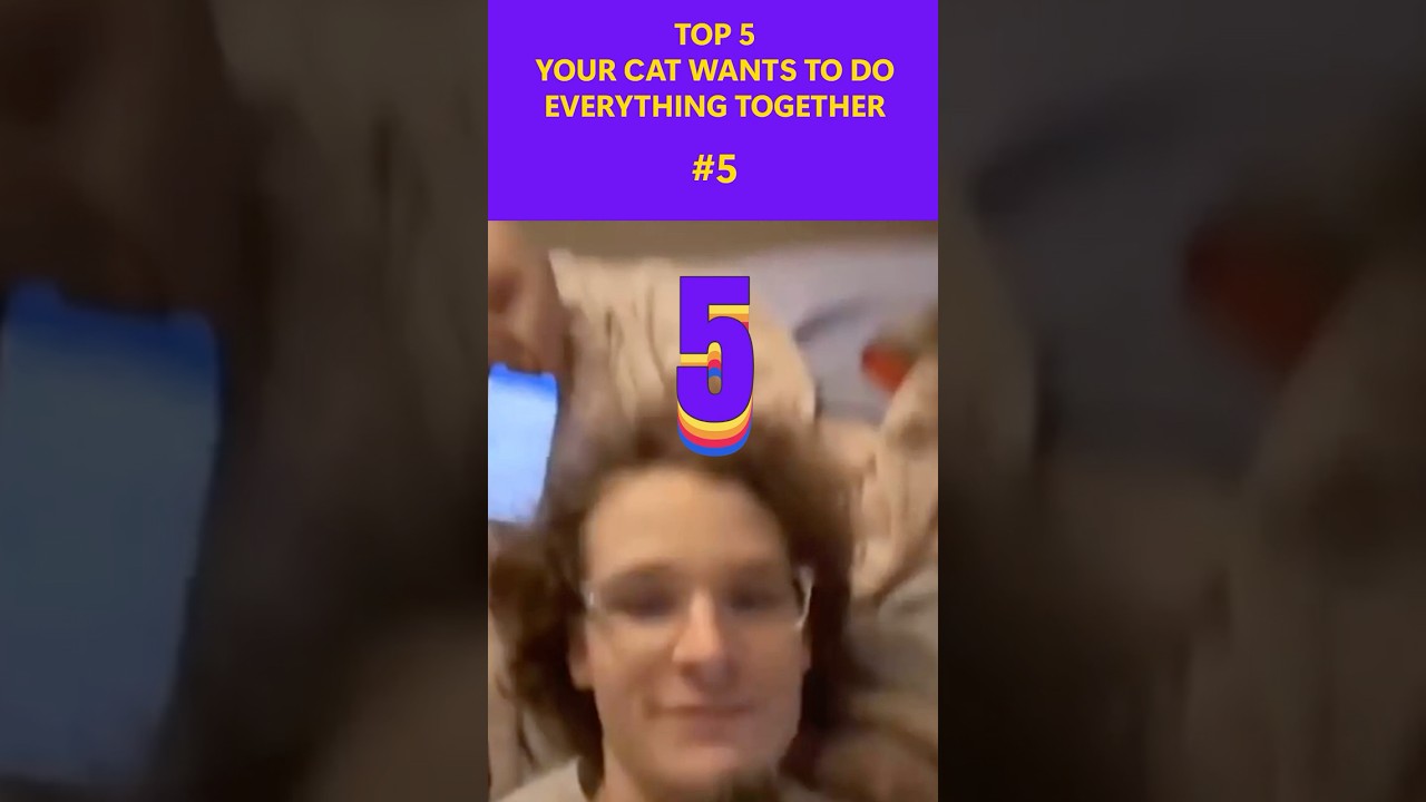 5 главных признаков того, что ваша кошка хочет делать с вами всё 😸❤️