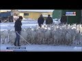 Вести Марий Эл. События недели 14 01 2018