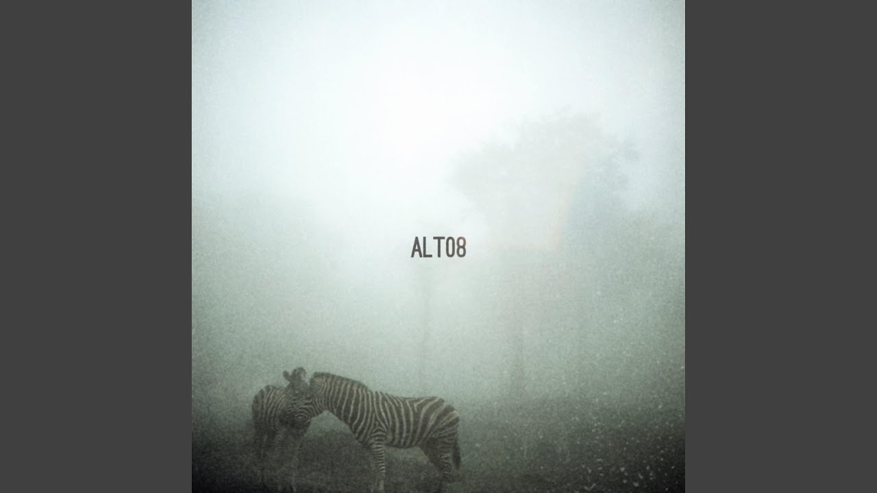 Foggy Safari