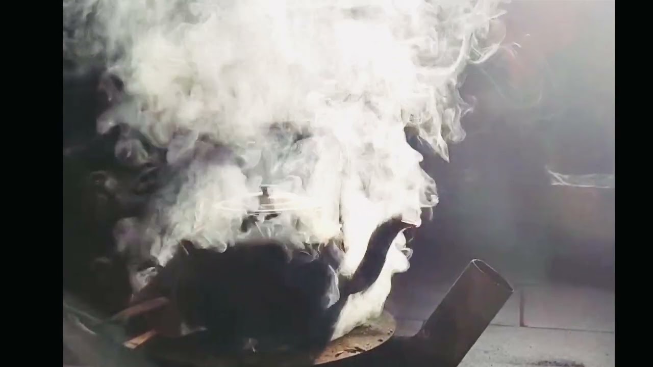 Xuân Trong Cửa Thiền