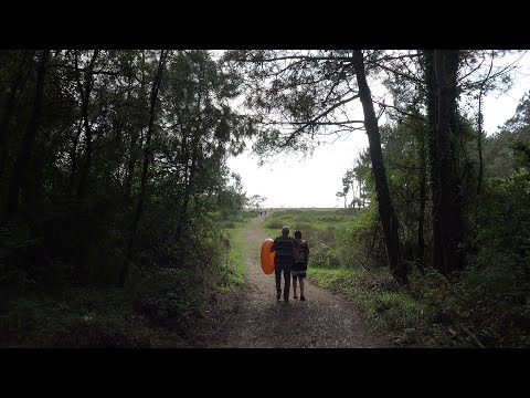 თორმეტი გაკვეთილი /Twelve Lessons (Trailer)