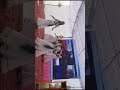 vijayi bhava song
