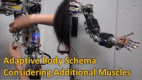 Adaptive Body Schema Learning Considering Additional Muscles (RA-L 2022)