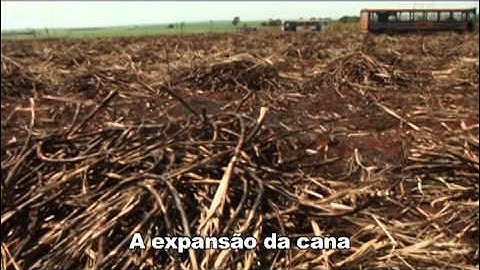 Brasil, as mãos sujas do etanol (parte 4)