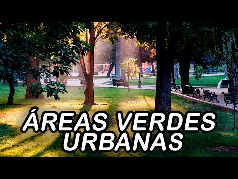 Video: Plantas De Césped Urbano