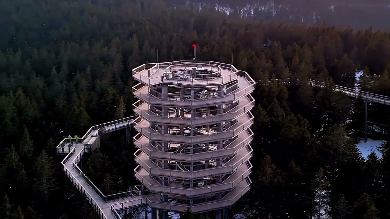 Pot med krošnjami ob sončnem zahodu