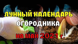 Посевной Календарь! Лунный Календарь Огородника На МАЙ 2021. Что и Когда сажать. Благоприятные дни