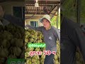 10 พฤษภาคม 2026 EP7 #ทุเรียน #ai #ทุเรียนจันทบุรี