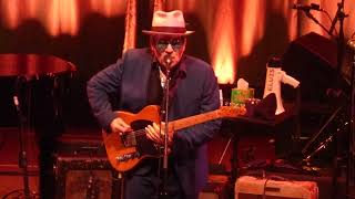 Watch Elvis Costello Lovers Walk video