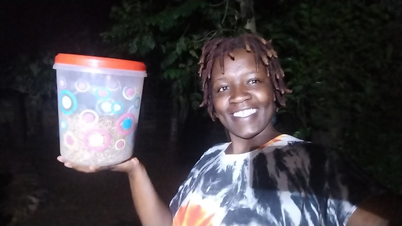 Preparing For The Night || How We Take Care of Our Catfish at Night 🌉