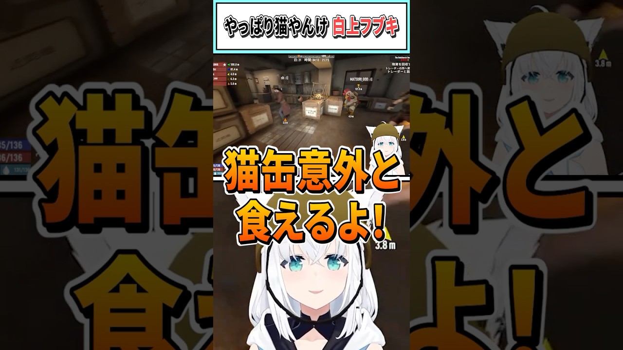 やっぱり猫やんけ 白上フブキ【白上フブキ/ホロライブ切り抜き】 #shorts #vtuber #ホロライブ切り抜き