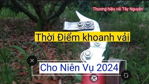 Thời điểm khoanh vải cho niên vụ 2024