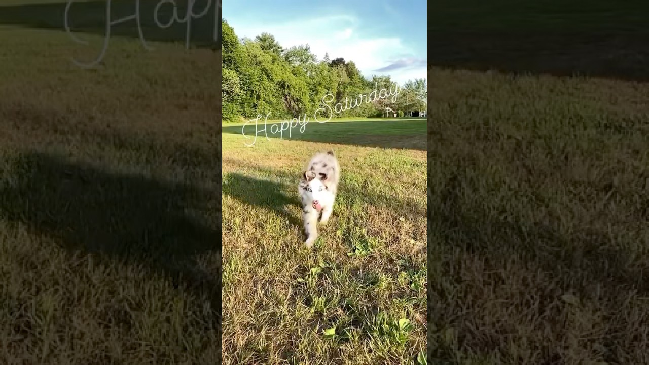 It is almost the weekend y’all!!! 