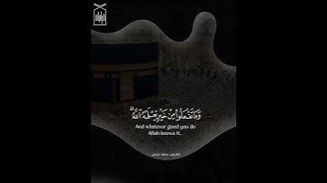 ﴿الحَجُّ أَشهُرٌ مَعلوماتٌ﴾ من سورة البقرة للقارئ مالك الزامل 🤍.