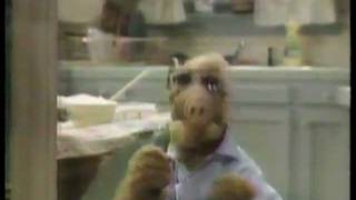 Wutv Buffalo 29 Alf 1991