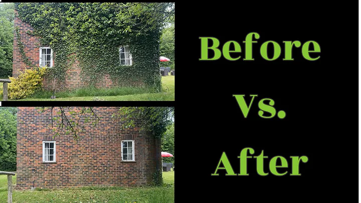 How to remove ivy from your house walls