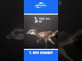 T.Rex Dinosaur Exhibit for Kids