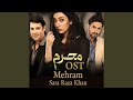 Na Mehram Humsafar (From "Mehram")