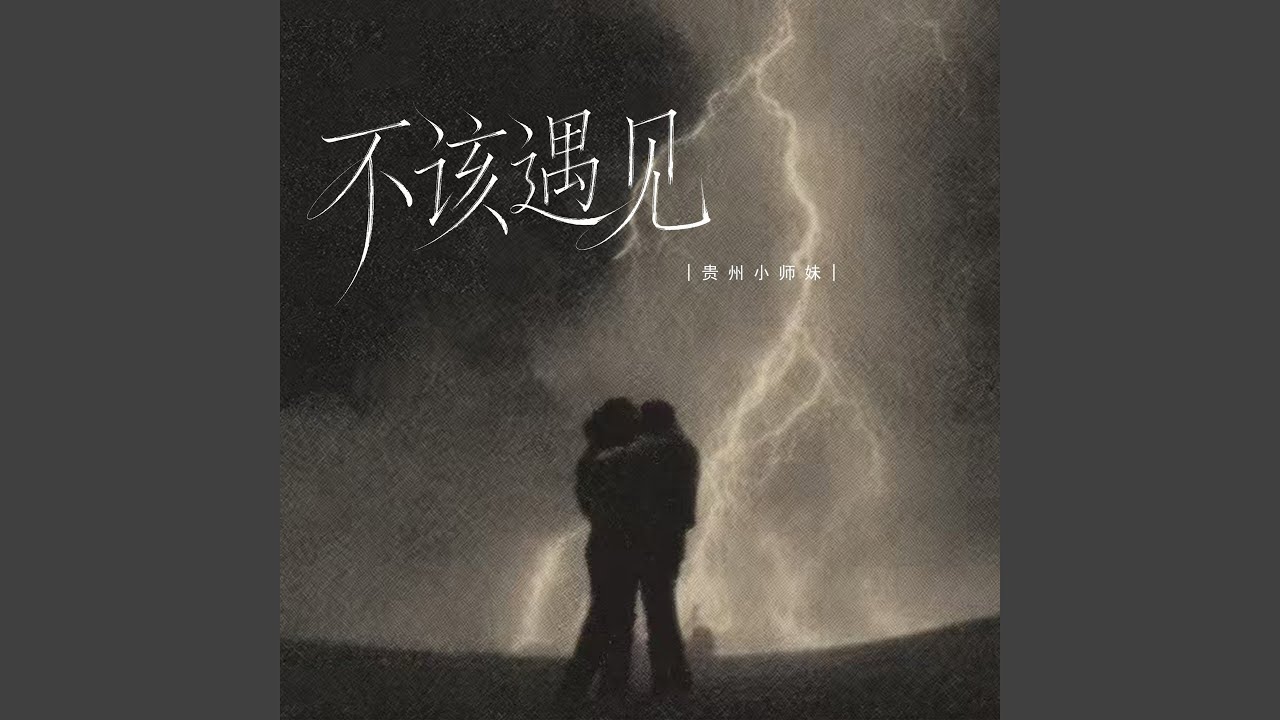 不该遇见 (伴奏)