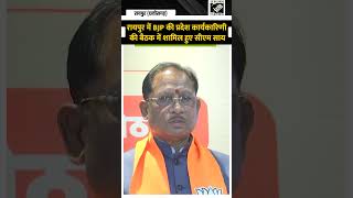 रायपुर में BJP की प्रदेश कार्यकारिणी की बैठक में शामिल हुए सीएम साय