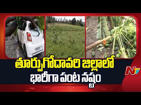 East Godavari: తుఫాన్ ప్రభావంతో చేతికి అందిన పంట నీటిపాలు | Cyclone Montha | Special Report | NTV - NTVTELUGU