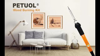 Wood Burning Tool, Tips, & Pattern Sheets Demo - 2022 Walmart New Product  Spotlight 