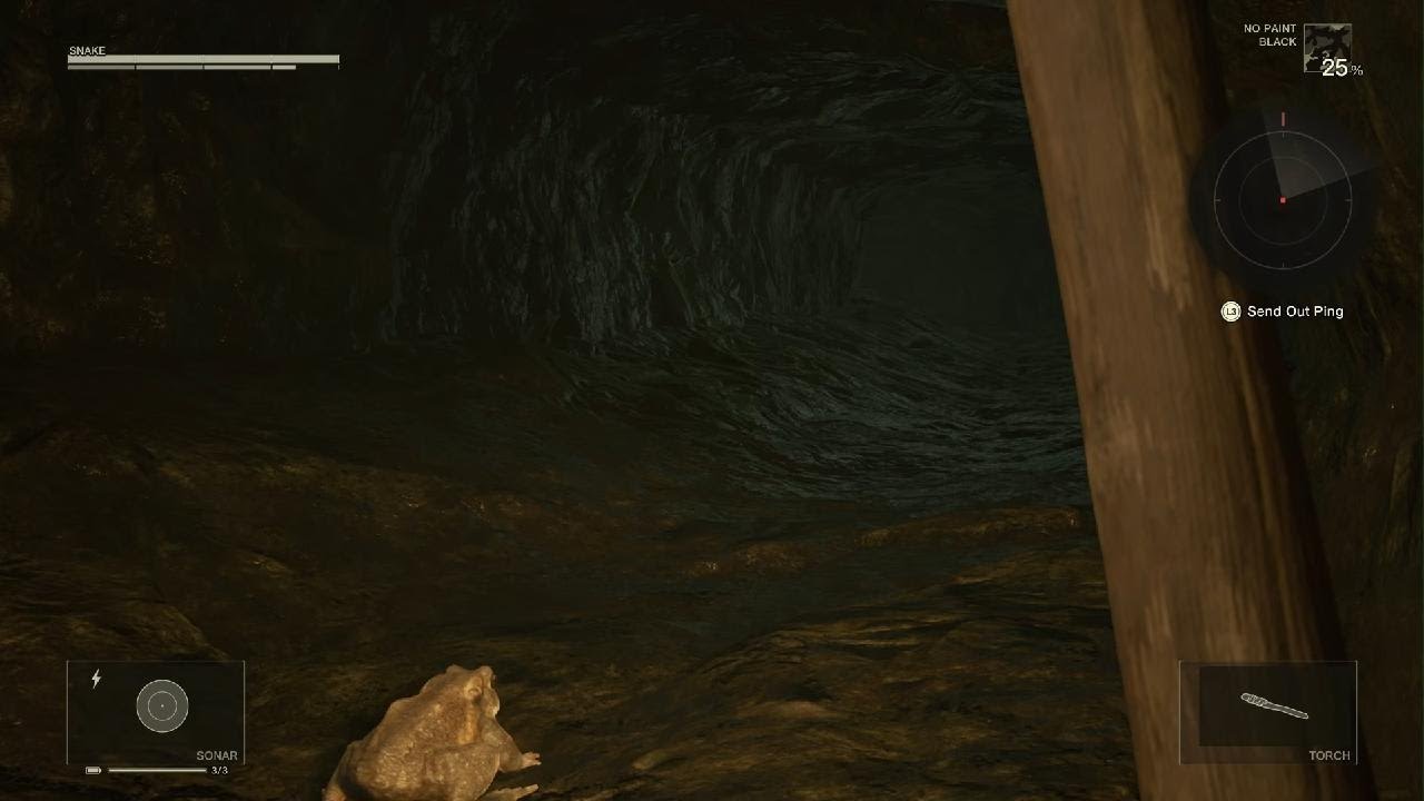 METAL GEAR SOLID Δ: SNAKE EATER episode 11 beating the Pain