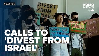 Pro-Palestinian protesters demand UW divest from Israel at Board of Regents meeting
