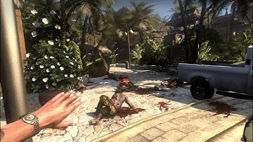 Dead Island developer