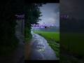 সবাই তো আর ছেরে যাই না।...🖤🥀👍 #sadcaption#trending #sad
