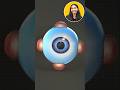 STRUCTURE OF EYE 👁️ by Nidhimam #Nidhimam #CurrentAffairs # biology #trendingvideos #shorts
