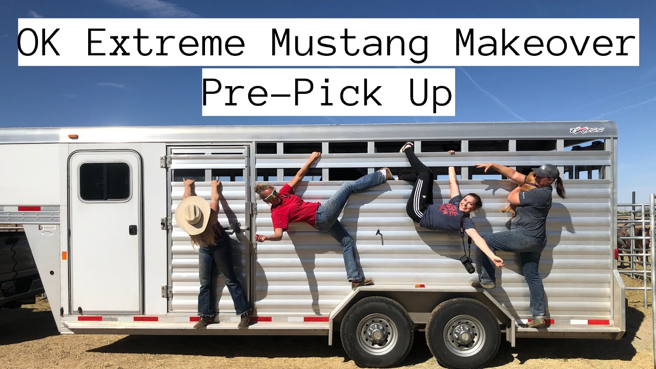 Another Mustang Adventure? OK EMM PrePickup YouTube