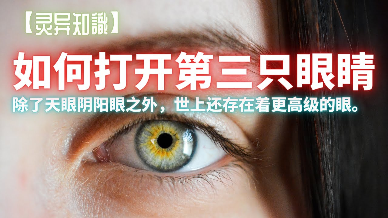 狗眼看阴阳1