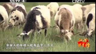 20141030 远方的家 江河万里行(132)——朋曲 水出希夏邦马峰