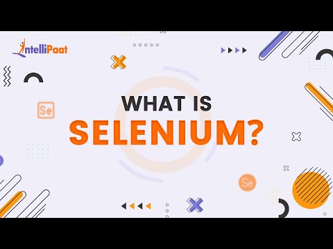 فيديو: ما هو مزود البيانات في السيلينيوم؟