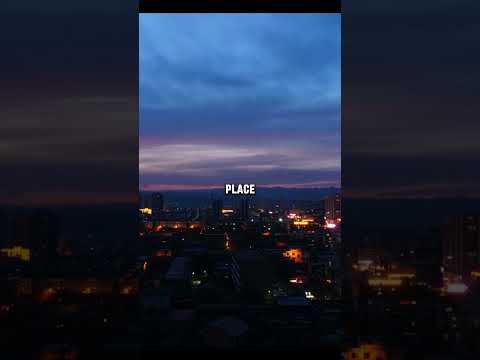 Sugar And Brownies Dharia Sugarandbrownies Shorts Yt