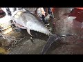 Masterful Tuna Cutting: Skilled Chef Slices Giant Bluefin Tuna 🐟🔪