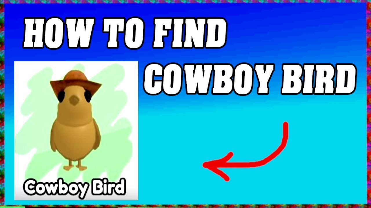 How To Find COWBOY BIRD in FIND THE BIRDS ROBLOX 🦜 [walkthrough]