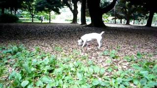 イヴ20100626.MOV