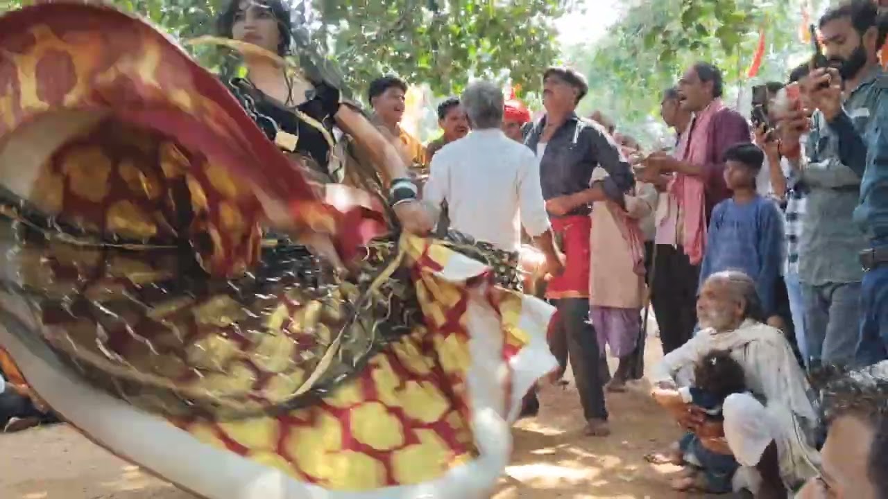 श्री नरसिंह धाम मंदिर दिव्या चमत्कारी दरबार आज यहां पर झूला चगिर आई मनोकामना पूर्ण हुई राई का प्रोग्