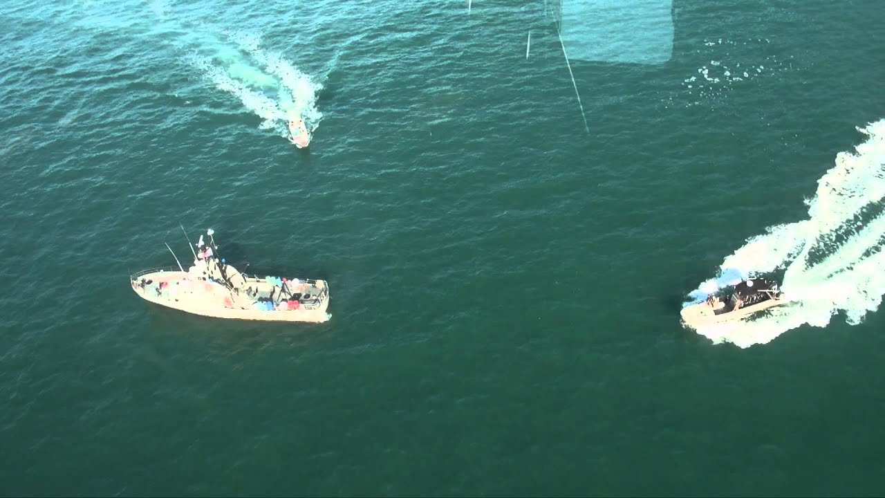 LA AERONAVAL RESPONDE CONTRA EL NARCOTRAFICO - DANCE WITH THE DEAD - Skeletons In The Attic