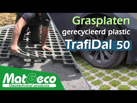 TrafiDal 50