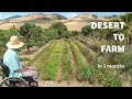 How He Turned Desert Sand Into Fertile Farm Land In 3 Months!