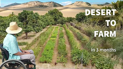 How He Turned Desert Sand Into Fertile Farm Land In 3 Months!