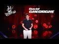 David gheorghe  summertime  auditiile pe nevazute  vrj 2017