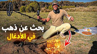 الحلقة الثانية من البحث عن الذهب في البرية🏕️تخييم و تنقيب شوفو شنو لقينا😱الموث ديال ضحك 🤣نتيجة ‼️