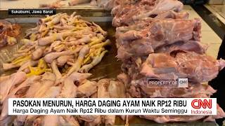 Harga Daging Ayam Meroket di Sejumlah Daerah